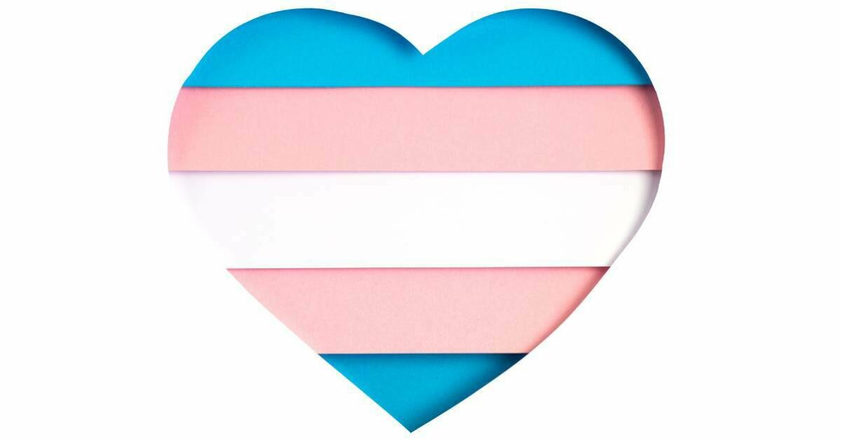 Transpapers: A Free, Michigan-Made Resource for Trans Empowerment ...