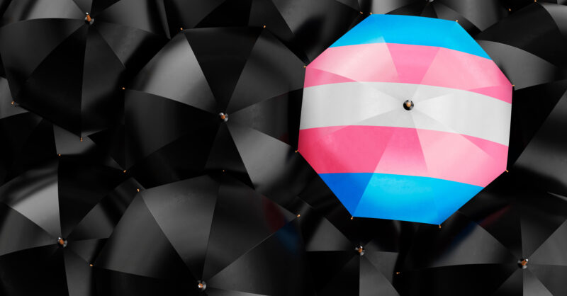 Michigan's Trans Migration Project Is Helping to Protect Trans People Just By Getting Them Somewhere Safe - Vimarsana News