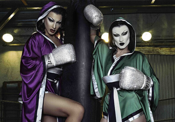 Gottmik Violet 1 small