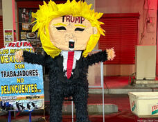A Donald Trump piñata in Mexicali, Mexico, on Jan. 31, 2025. Photo: Washington Blade/Michael K. Lavers