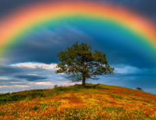 Matthew Bode Essay 1