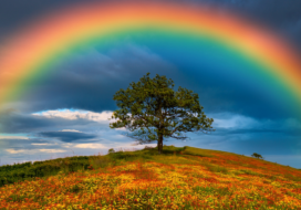 Matthew Bode Essay 1