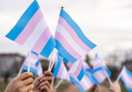 Trans Flags 1
