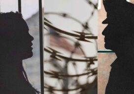 Design by Sophie Holland.