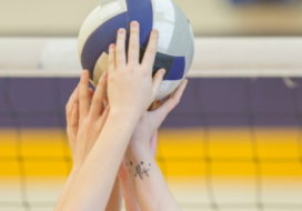 Volleyball 1 600x250