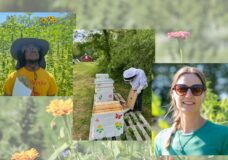 At Pott Farms in Willis, Michigan. Photo: Robbin Pott