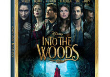 SQ SQ Into The Woods