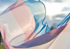 Photo: Vladimirov from Getty Images Signature, as licensed through Canva.com