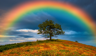 Matthew Bode Essay 1