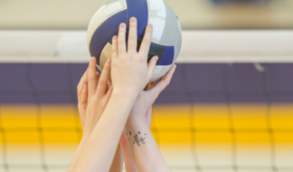 Volleyball 1 600x250