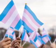 Trans Flags 1