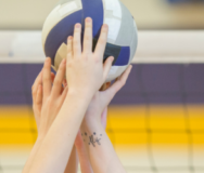 Volleyball 1 600x250