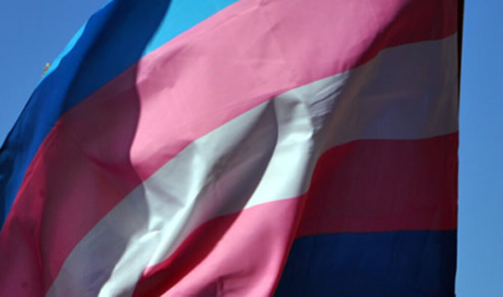 1 Transgender Flag 2013 Capital Pride Parade insert c Washington Blade by Michael Key