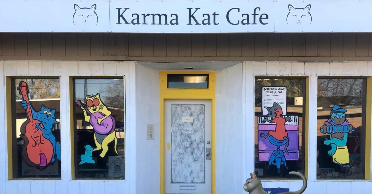 Karma Cat Cafe. Courtesy photo
