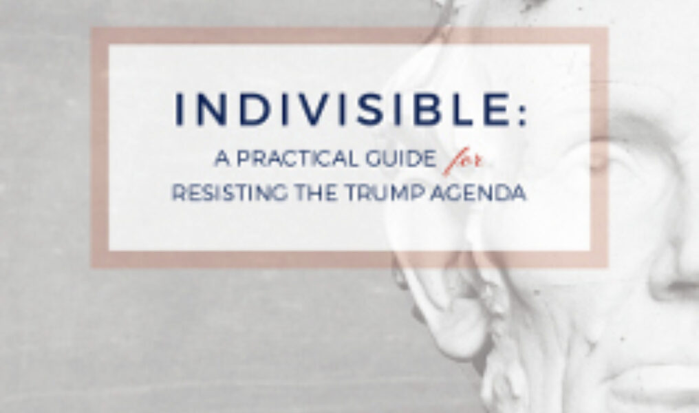 S1 M4 Indivisible Guide 2017 01 05 v1 1