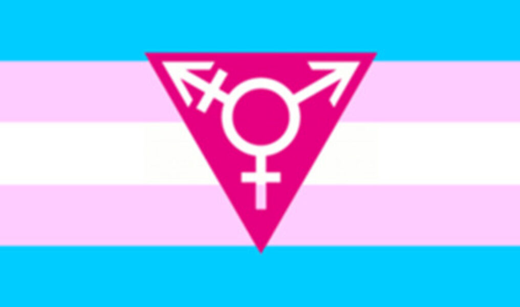 S1 N10 Transgendercollegeinclusion Holyoke 2238