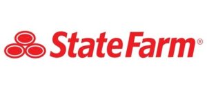 Big Logo rectangle