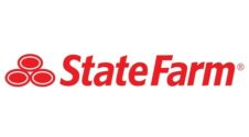 Big Logo rectangle