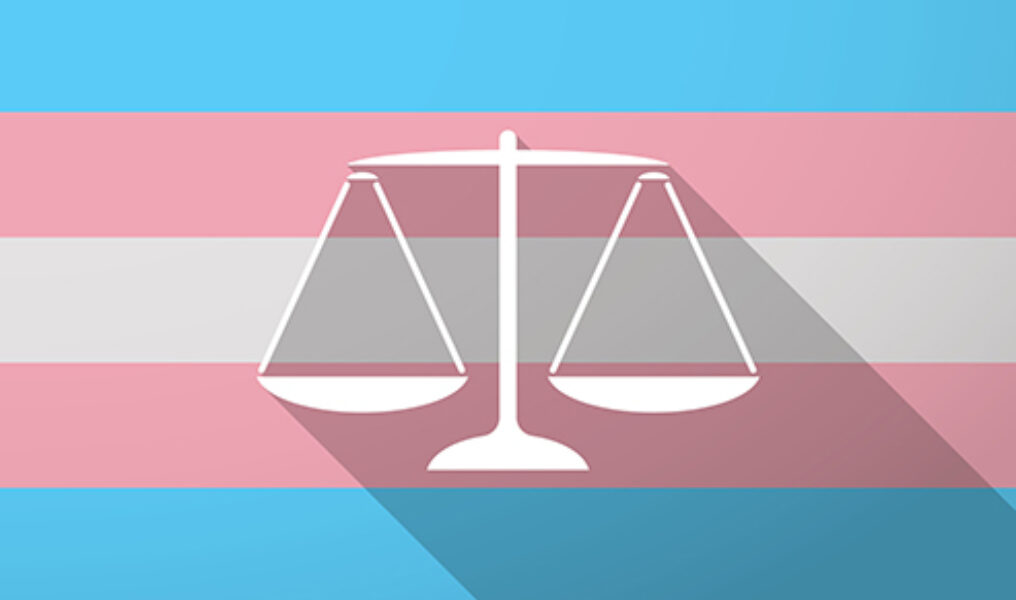Long shadow  trans gender flag with a justice weight scale sign