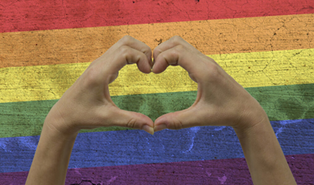 Hands Heart Symbol LGBT Flag