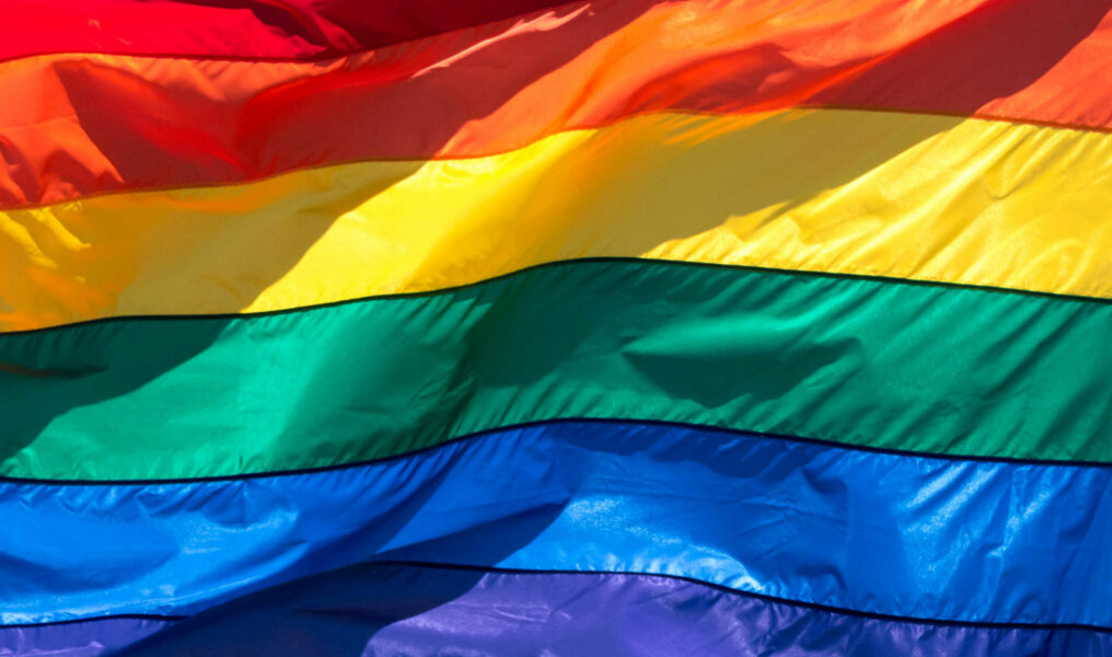 Rainbow Flag (full frame)-070714301