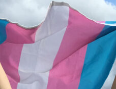 trans_flag_insert_by_Estrogin_via_Creative_Commons