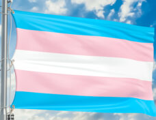 Transgender flag waving in blue cloudy sky, 3D rendering-071612393