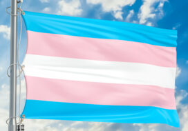 Transgender flag waving in blue cloudy sky, 3D rendering-071612393