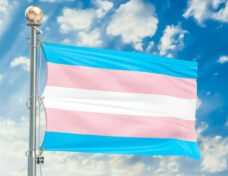 Transgender flag waving in blue cloudy sky, 3D rendering-071612392