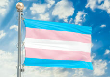 Transgender flag waving in blue cloudy sky, 3D rendering-071612392