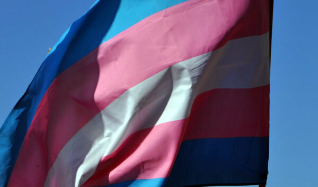 Transgender_Flag_2013_Capital_Pride_Parade_insert_c_Washington_Blade_by_Michael_Key