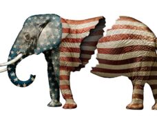 Fractured Republican Elephant