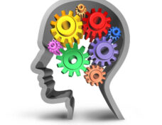 bigstock-Brain-Function-with-gears-and-11863580-scaled