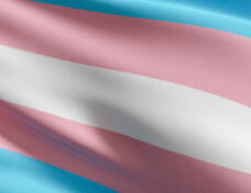 Transgender Flag. Community, Lgbt Worldwide Which Have Adopted T