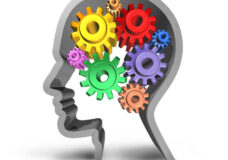 bigstock-Brain-Function-with-gears-and-11863580-scaled