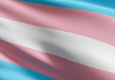 Transgender Flag. Community, Lgbt Worldwide Which Have Adopted T