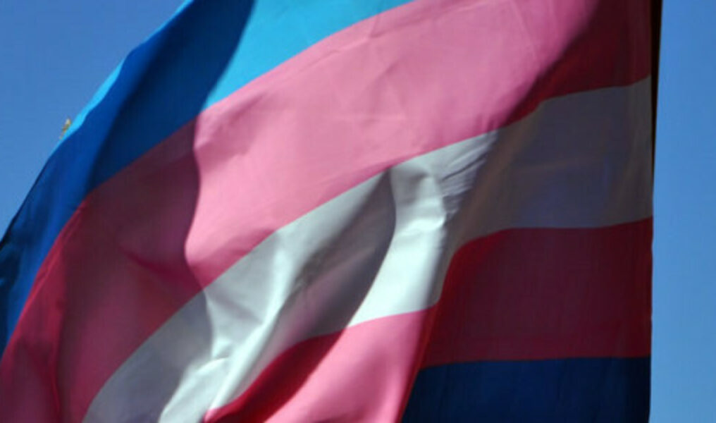 Transgender_Flag_2013_Capital_Pride_Parade_insert_c_Washington_Blade_by_Michael_Key-1