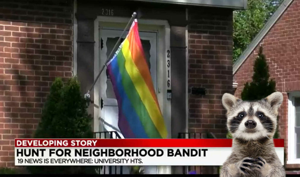 Raccoon-Pride-Flag-scaled