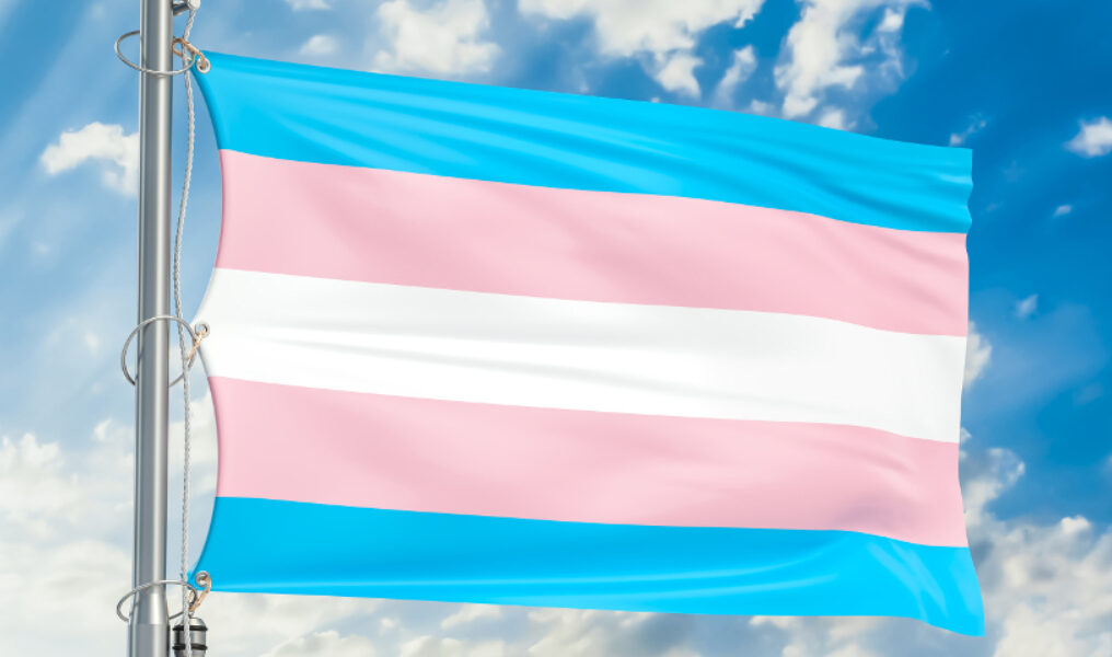 Transgender flag waving in blue cloudy sky, 3D rendering-071612391