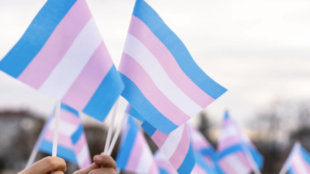Transgender, NonBinary+ Support Group
