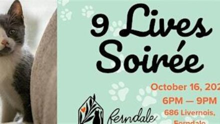 9 Lives Soirée