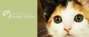 Humane Society of Huron Valley