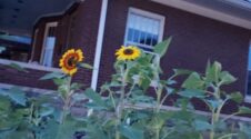 Salem United Church of Christ